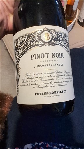 Beaujolais Collin-Bourisset L'Incontournable 2024