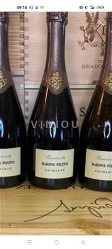 Lombardei Franciacorta Barone Pizzini Animante Ohne Jahrgang