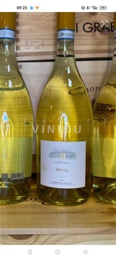 Toskana Ni doloceno Le Mortelle Vivia 2021