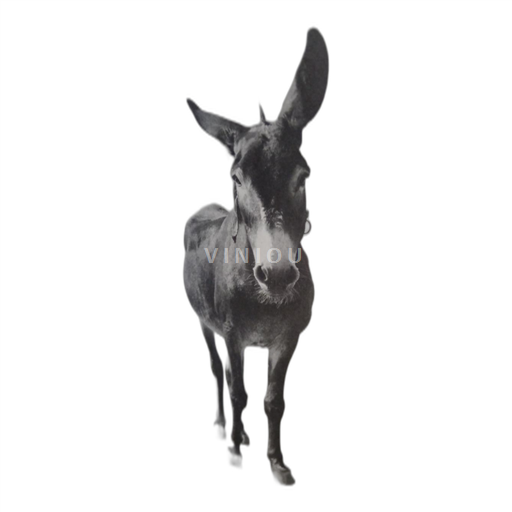 Alpe in reke Rona Ardeška. têtu 2015