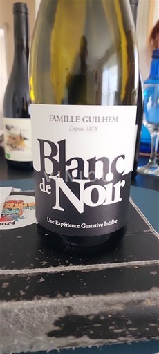 South West Côtes de Gascogne Famille Guilhem Blanc de Noir 2024