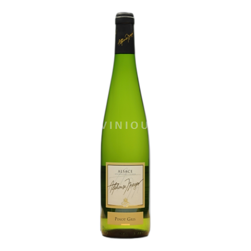 Alsace Pinot xám Alphonse Meyer et Fils Tradition 2018