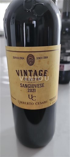 Emilia-Romagna Không được chỉ định Umberto Cesari Vintage Collection 2021