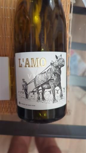 Roussillon Côtes-du-Roussillon Domaine Des Deux Puits L'amo blanc 2022