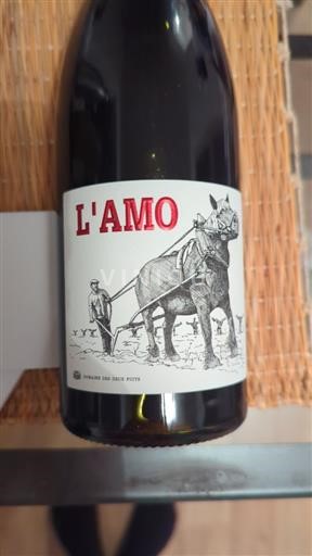 Roussillon Côtes-du-Roussillon Domaine Des Deux Puits L'amo rouge 2022