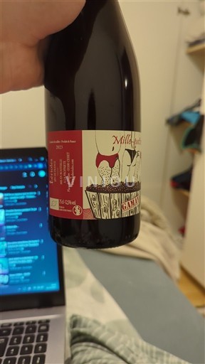 Loire Valley Unspecified Domaine Des Bérioles Mille-pattes 2023