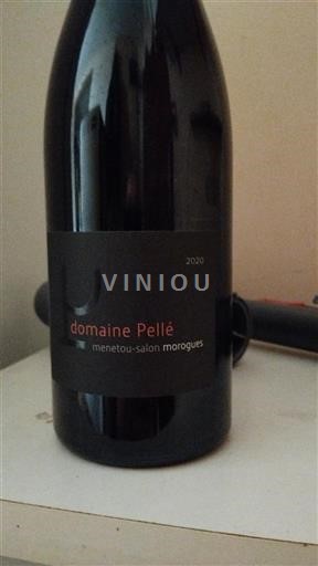Vallée de la Loire Menetou-salon Domaine Pellé Morogues 2020