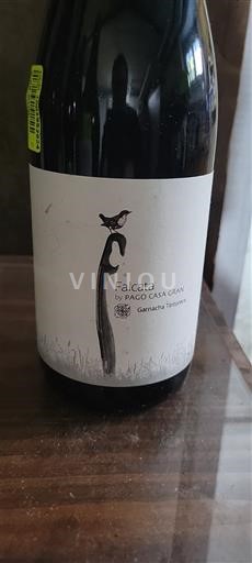 Cộng đồng Valencia Valencia Pago Casa Gran Falcata 2021