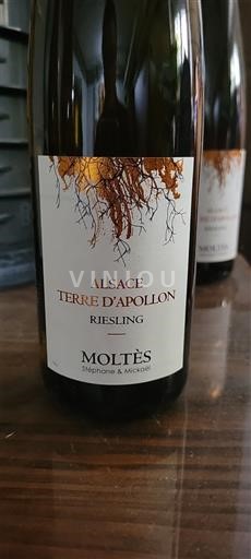 Alsace Moltes Terre d'Apollon 2022