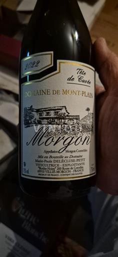Beaujolais Morgon Domaine Montplain Tête de 2022