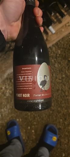 Languedoc e Roussillon Pays d'oc Anne de Joyeuse Terroir des Dinosaures 2024