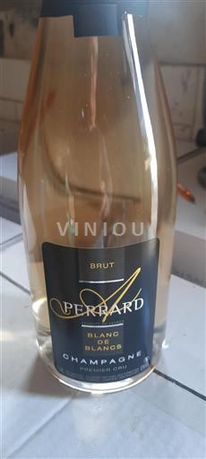 Samppanja Premier Cru Perrard Blanc de Blancs Ei vuosikertaa