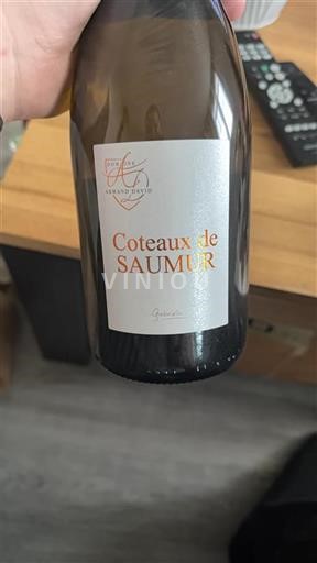 Thung lũng sông Loire Coteaux-de-saumur Armand David Gabrielle 2023