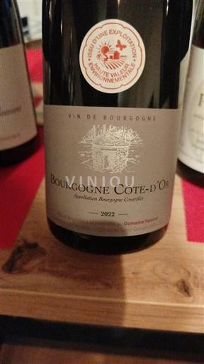 Burgundi Bourgogne Côte d'Or Domaine Parigot 2022