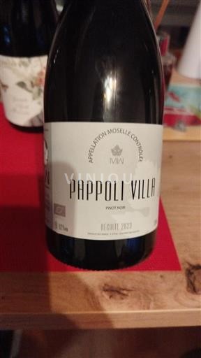 Lorena Mosela Pappoli Villa 2023