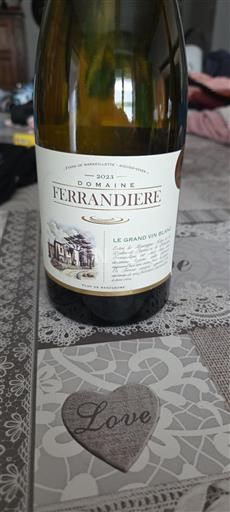 Languedoc-Roussillon Pays d'Oc Ferrandière Le Grand Vin Blanc 2023