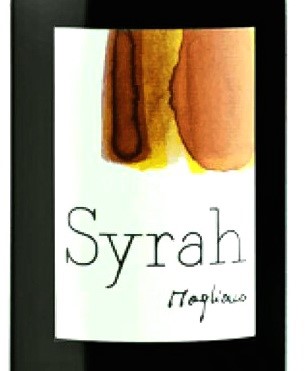 Vallese Syrah del Vallese Magliocco Syrah Bio 2021