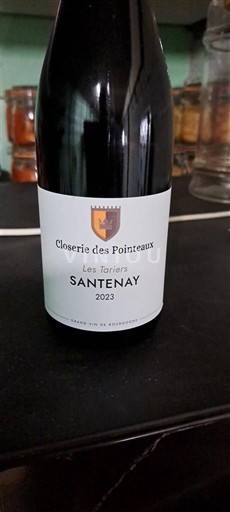 Burgundy Santenay Closerie des Pointeaux Les Tâniers 2023