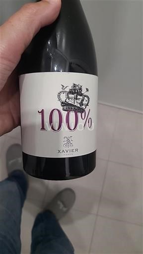 Rhône-dalen Ikke specificeret Xavier Vignon 100% 2017