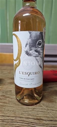 Sudoeste Côtes de Gascogne Domaine La Higuère L'Esquiro Sin añada