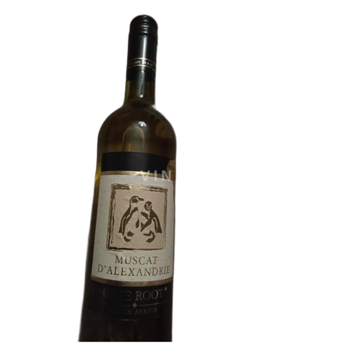 Kap Sydkyst Elgin Western cap 2023