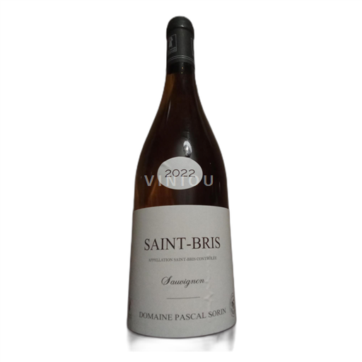Borgogna Saint-Bris Domaine Pascal Sorin Sauvignon 2022