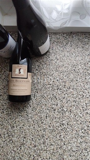 Loiren laakso Côte-roannaise Domaine Desormière Montolivet 2023