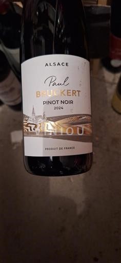 Alsácia Pinot noir Paul Brustert 2024 2024