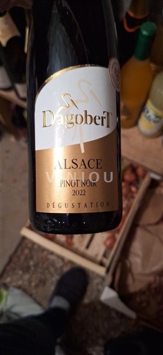 Elsass Dagobert 2022
