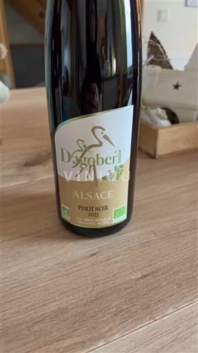 Ельзас Dagobert 2022