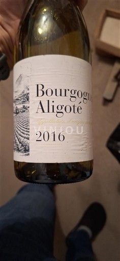 Burgundsko Bourgogne-aligoté Jean Truffot 2016