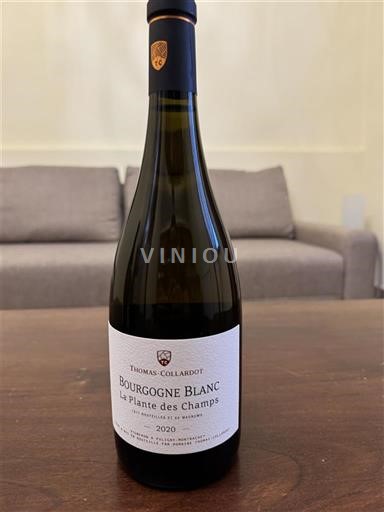 Borgoña No especificado Thomas-Collardot Le Plante des Champs 2020