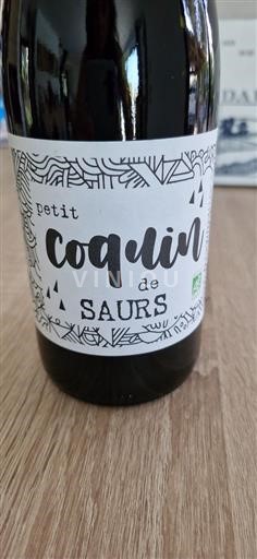 Tây Nam Không được chỉ định Château Saurs Petit Coquin Không niên vụ