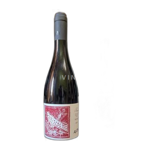 Toscana Aliotti 2022