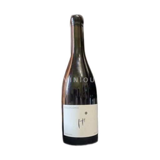 Beaujolais Beaujolais Villages Domanie azzarra 2022