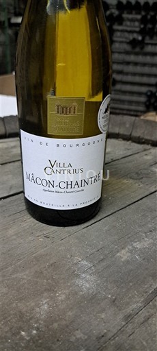 Borgogna Mâcon-Lugny Villa Cantrius 2024