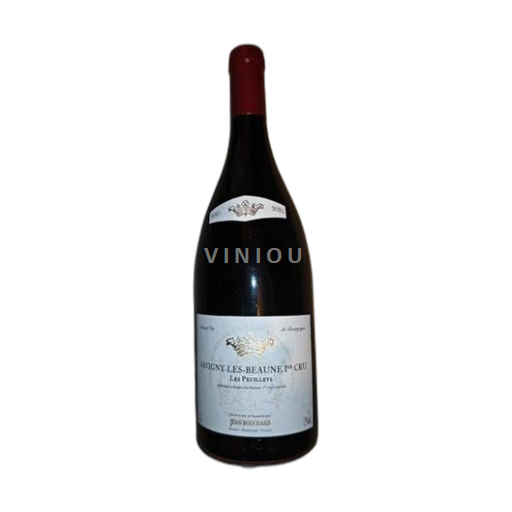 Burgundy Savigny-lès-Beaune Premier Cru Jean Bouchard Les Peuillets 2021