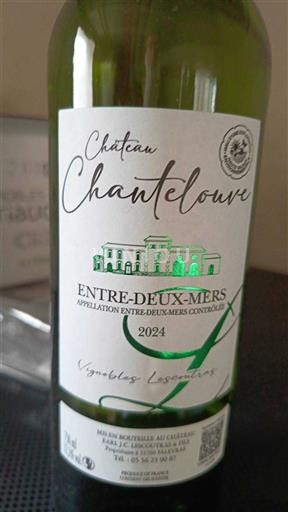 Burdeos Entre dos mares Château Chantelouve 2024
