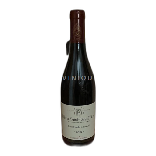 Burgundy Unspecified Premier Cru Domaine Stéphane Magnien Les Monts-Luisants 2022