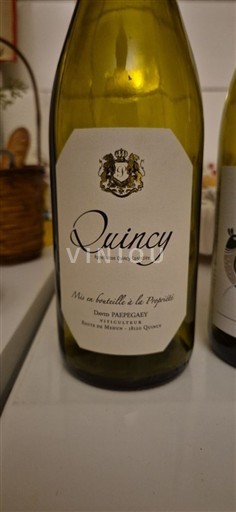 Vallée de la Loire Quincy Domaine Papegay Non Millésimé