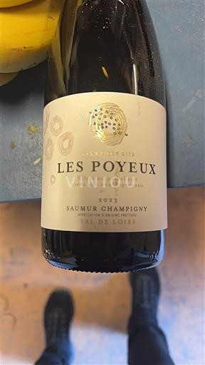 Vallée de la Loire Saumur-champigny Les Poyeux 2023