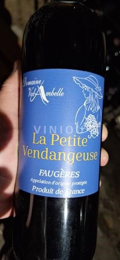 Languedoc Faugères Domaine Valambelle La Petite Vendangeuse 2020