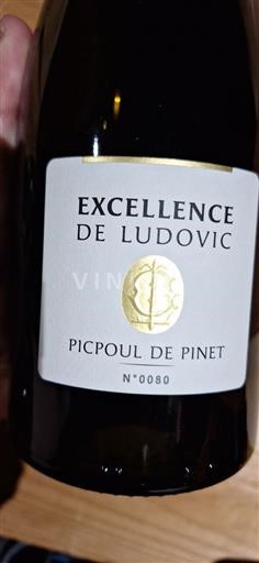 Languedoque Picpoul-de-Pinet Excellence de Ludovic 2023