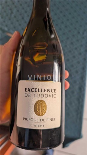 Languedoc Picpoul-de-pinet Excellence de Ludovic 2023