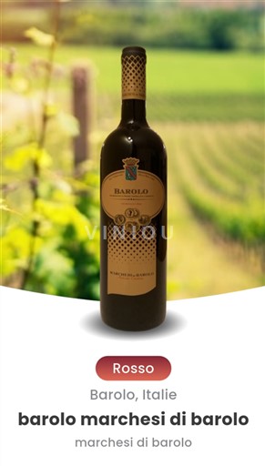 Piedmont Wines Barolo Marchesi di Barolo 2019