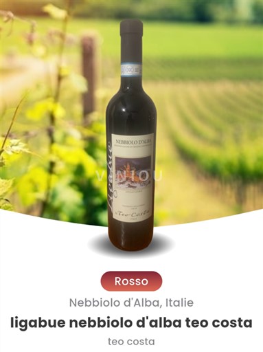 Piemonte Nebbiolo d'Alba Teo Costa Ligabue 2022