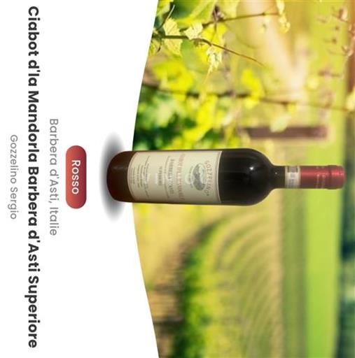 Piedmont Barbera d'Asti Gozzelino Ciabot d'la Mandorla 2019