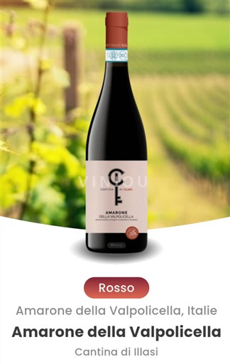 Vêneto Amarone della Valpolicella Cantina di Illasi 2019