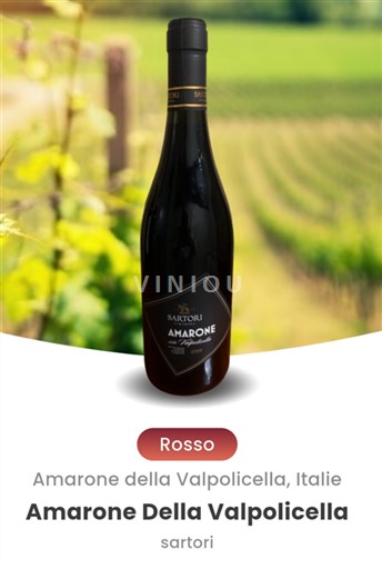 Vénétie Amarone della Valpolicella Sartori di Verona 2020