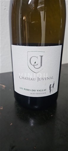 Viinit Blanc sec Les Ribes du Vallat Château Juvenal 2023 Ranska Rhônen laakso Ventoux AOC